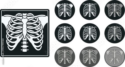 Human rib cage xray icon set medical skeleton chest anatomy healthcare radiology vector illustration collection design