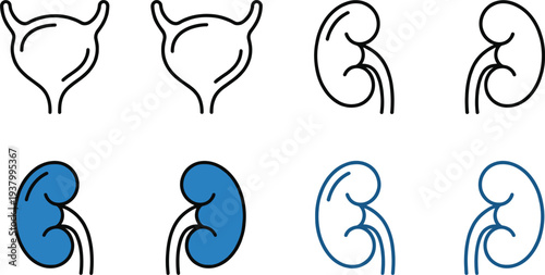 Kidney and bladder line icon set urology urinary system medical anatomy healthcare vector illustration collection design