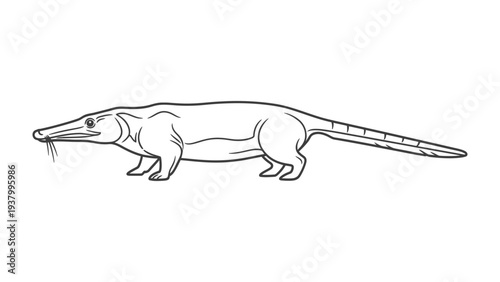 Ancient Aquatic Mammal: An illustrative depiction of a prehistoric mammal, revealing the aquatic adaptation of an ancient animal with a long body, and a sleek, streamlined profile.