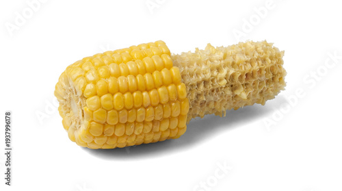 Canvastavla half-eaten cob of sweet corn showing bright yellow kernels on one side and a bar