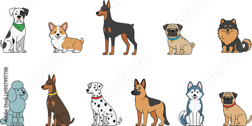 Cartoon vector illustration of diverse dog breeds including corgi pug poodle dalmatian husky shepherd doberman pomeranian pet animals