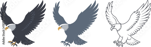 Bald eagles are depicted in three styles including a dark color version, a gray color version, and a detailed outline drawing.