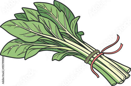 Water Spinach Fresh Leaf Vegetable. Morning Glory Green Leaf Vegetable. Kalmi Shak Fresh Aquatic Vegetable. Water Spinach Bunch With Leaves. Morning Glory Leafy Vegetable Concept. Kalmi Shak Organic