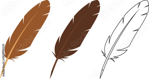 Three brown writing feathers are displayed next to a simple black and white outline version on a white background.