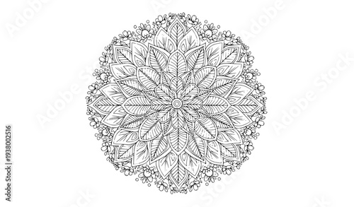 Floral mandala coloring vector – black outline decorative illustration