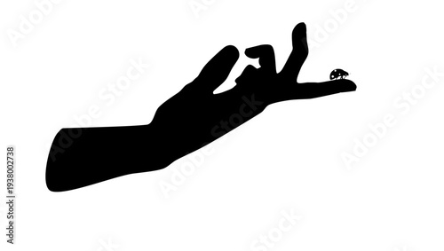 ladybug on a finger, black isolated silhouette