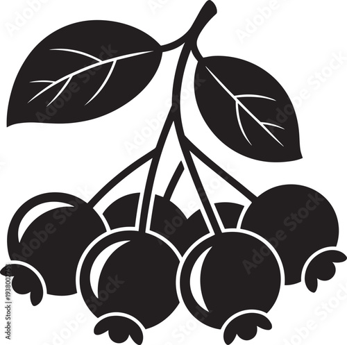 Small cluster of Chokeberry with two leaves on a stem on a transparent background