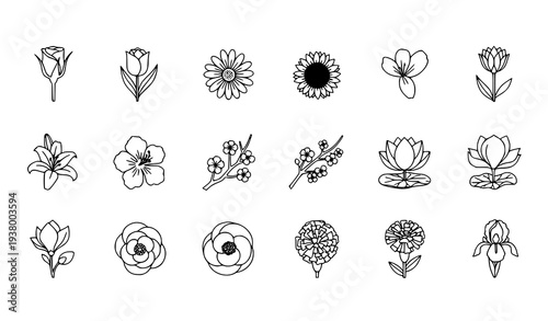 Editable flower line icon pack with rose tulip daisy sunflower lily and cherry blossom for web apps and book design