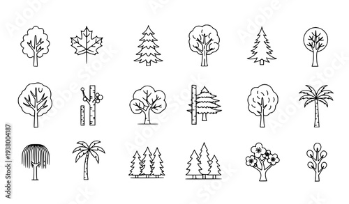 Minimalist tree and forest outline icon collection with oak maple pine birch and palm for mobile apps and web