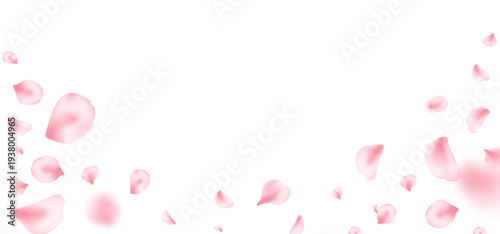 Japan flower frame. Spring cherry blossom banner. Sakura petal flying composition. Cosmetic beauty product. Natural decoration. Spa pink rose bg. Valentine romantic card. Vector illustration