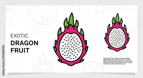 Exotic dragon fruit illustration featuring two halves of the tropical fruit with visible seeds on a clean white background.