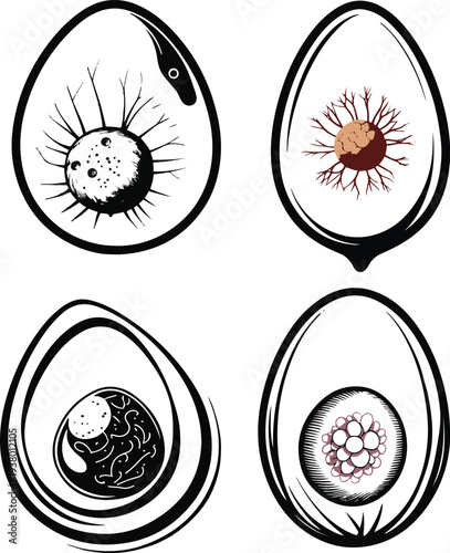  Minimalist fertilized fish egg with embryo detail vector sticker, bold black thick clean outline, pure white background