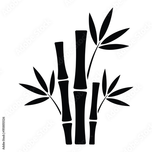 Natural Bamboo Plant Stems and Leaves Zen Garden Element