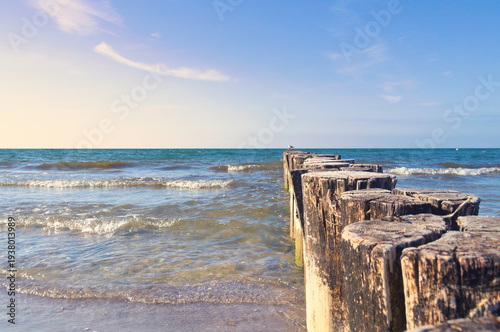 Wooden breakwaters (groynes) lead from the sandy beach into the blue sea of ​​the Baltic. Gentle waves lap against the weathered pilings under a clear sky. An idyllic coastal scene.