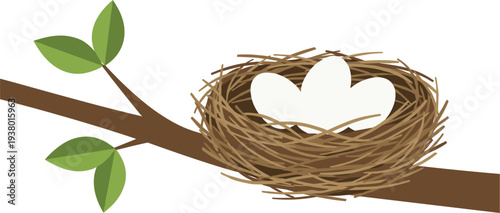 Bird Nest with Eggs on Tree Branch Nature Wildlife Vector Illustration for Spring Season, Bird Life Cycle, Ecology, and Natural Habitat Design