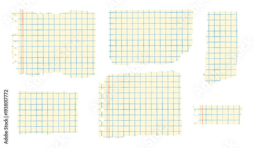 Set of torn squared notebook paper pieces with ragged edges on white background