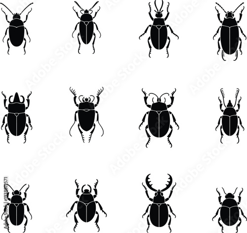 Beetle insect silhouettes, entomology diversity illustration, black vector bugs, biological classification art, nature species study, educational science design, insect morphology