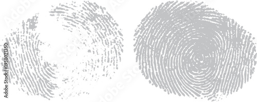 Two grey fingerprints on white background thumbprint