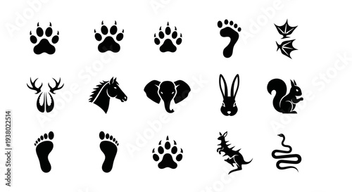 Collection of Animal Footprints and Silhouettes.