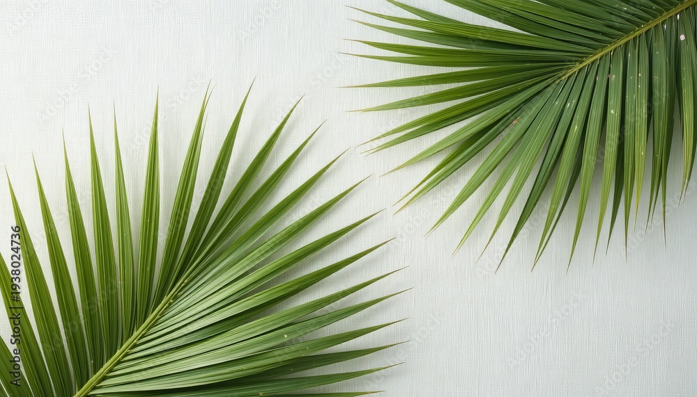 Fototapeta premium A serene Palm Sunday background with green palm leaves on a white surface