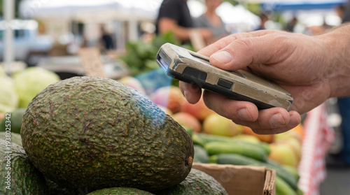 Hand uses technology to check avocado quality at a market farm