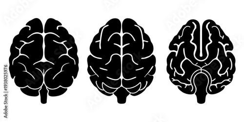 Human Brain Anatomy Icon Set - Minimalist Black Vector Illustrations