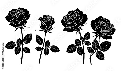 Bold rose silhouette vector illustration – black floral design for branding