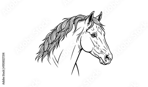 Elegant stallion horse profile vector illustration – noble equestrian design