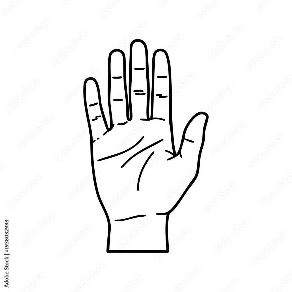 Fototapeta premium Line illustration of an open human palm with detailed finger lines and creases. Vector image of a 