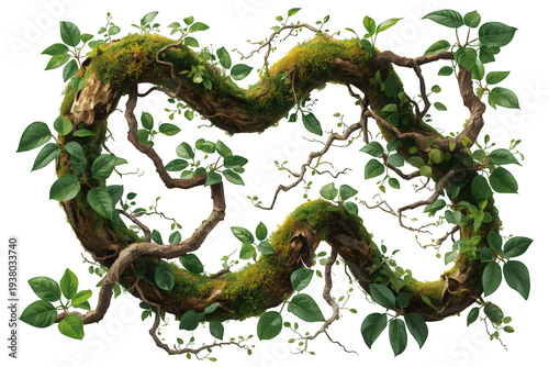 Mossy jungle tree branch forming a natural frame with green leaves and twisting organic vines on transparent background