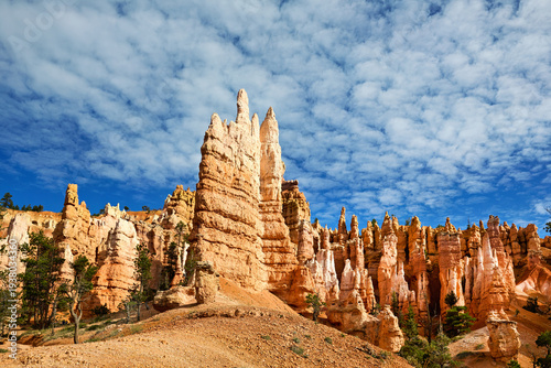 Bild auf Leinwand Hiking along the hoodoos at Queens Garden Trail in Bryce Canyon