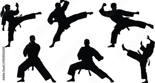 Silhouette of martial artists practicing dynamic poses, karate kicks, self-defense stances, discipline, strength, agility, fitness, cultural tradition concept