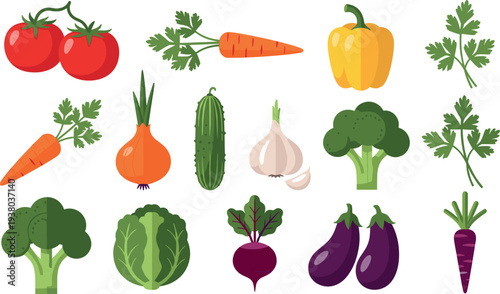 Fresh vegetables collection tomato carrot onion garlic cucumber broccoli eggplant beet cabbage pepper vector illustration healthy food