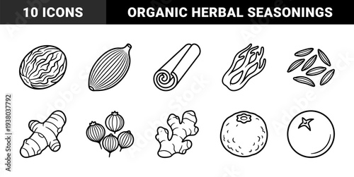 Organic spice and herbal seasoning line art for culinary branding. Minimalist monoline drawings of cinnamon, ginger, turmeric, and aromatic seeds.