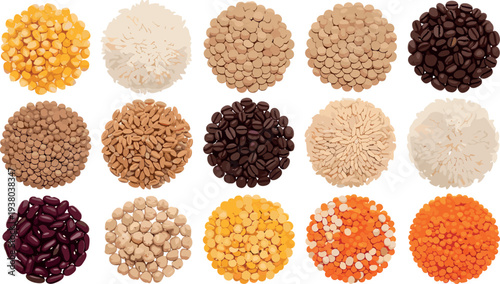 Collection of grains beans rice lentils and coffee seeds top view assorted food ingredients vector illustration set