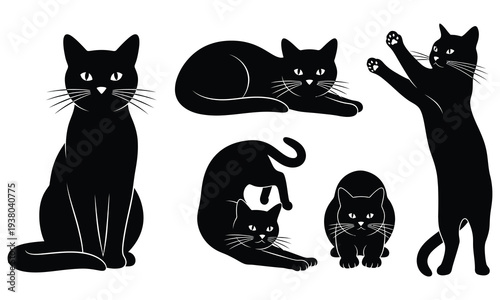 “Cute Black Cat Pose Set”