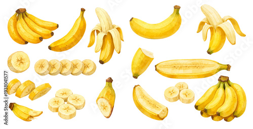 A charming watercolor collection of banana fruits with sliced rounds and bunches for healthy food illustrations and kitchen design.
