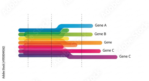 Gene expression levels graph with rainbow colors showing gene a gene b gene c and gene d activity