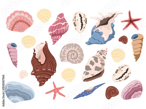 Collection of various sea shells, ocean snails, and pink starfish. Stylized maritime elements for summer decor, nautical themed designs.