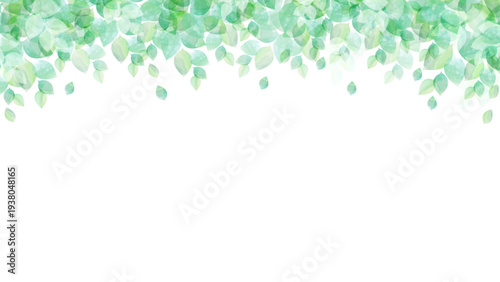 透明感のある新緑のフレームイメージ