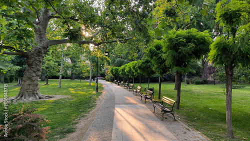 Photos sunny morning in the park in Novi Sad
