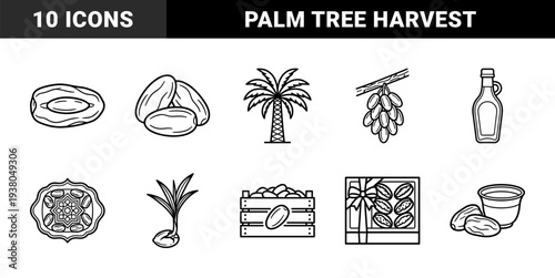 Dates fruit cultivation and harvesting process in thick monoline style. Traditional middle eastern palm tree agriculture and organic food packaging elements.
