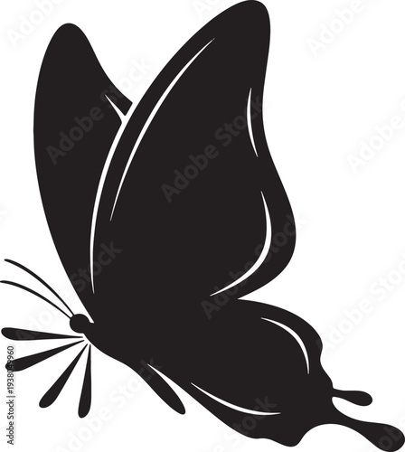 Black butterfly silhouette