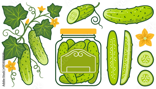 A collection of fresh green cucumbers with leaves flowers and a jar filled with pickled cucumbers presented in a vibrant illustration pickles gherkin vegetable food salad