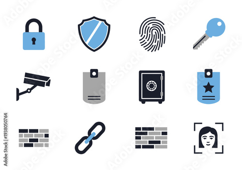 Twelve icons related to security and access control arranged in a 3x4 grid