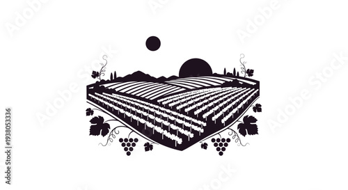 Black and white casino table layout.