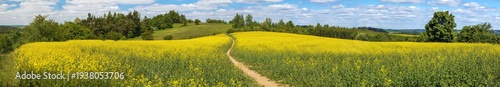Field rapeseed canola colza Brassica napus path way