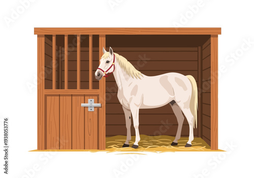 A white horse standing inside a wooden stable viewed from the front