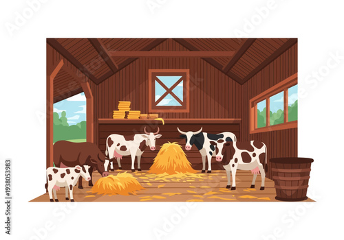 Cows standing in a barn surrounded by hay bales viewed from the front