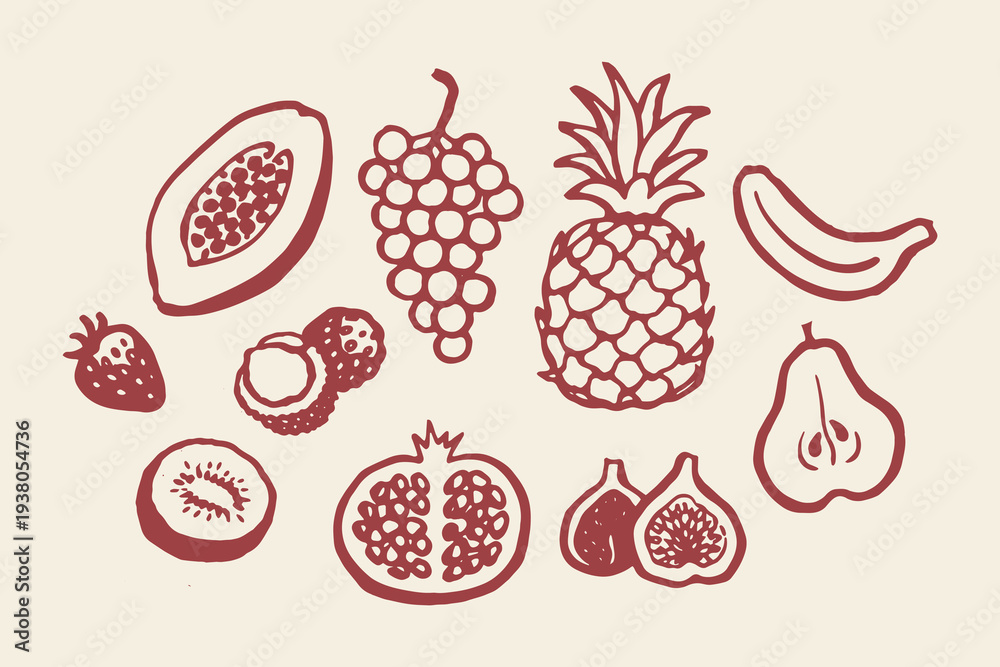 Fototapeta premium Tropical fruit set naive outline sketch vector illustration